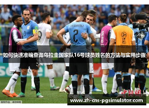 如何快速准确查询乌拉圭国家队16号球员姓名的方法与实用步骤